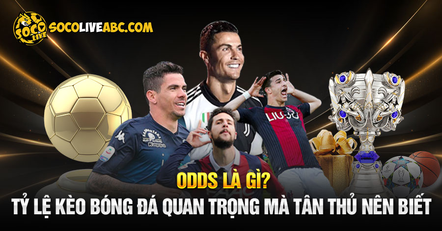 Odds Là Gì? Tỷ Lệ Kèo Bóng Đá Quan Trọng Mà Tân Thủ Nên Biết