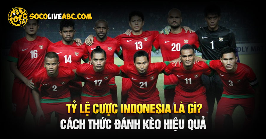 Tỷ Lệ Cược Indonesia Là Gì? Cách Cược Kèo Hiệu Quả Cho Người Mới